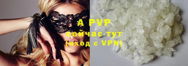эйфоретик Богданович
