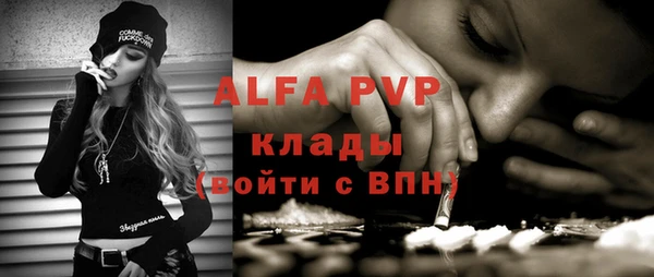 гидра Богородск