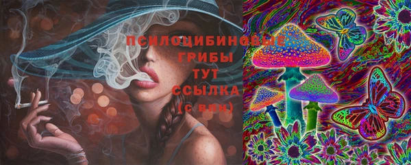 гидра Богородск