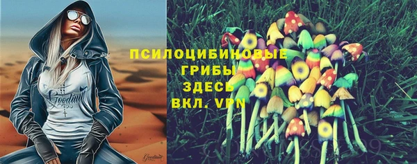 mdma Богородицк