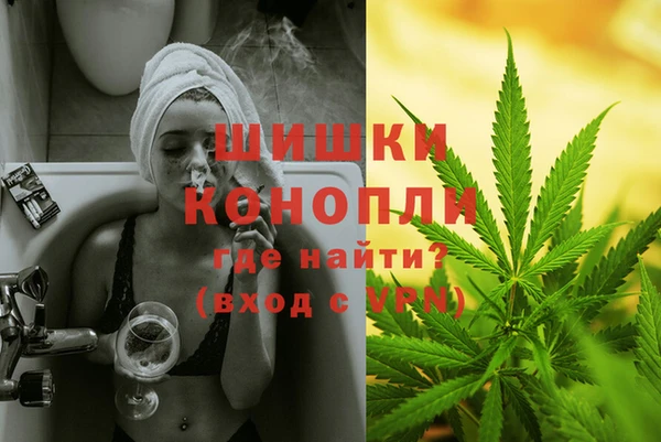 mdma Богородицк
