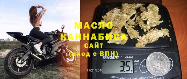 дживик Бородино