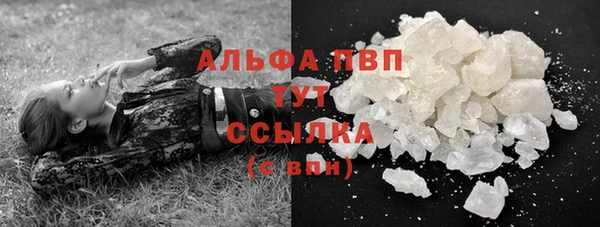 дживик Бородино