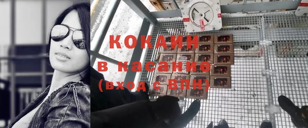 гидра Богородск