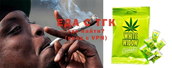 дживик Бородино