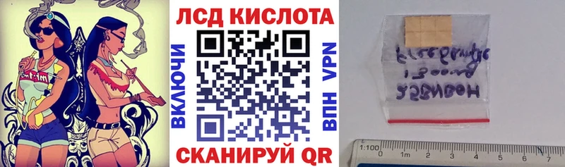 Наркотические марки 1500мкг мега вход Грозный купить наркоту